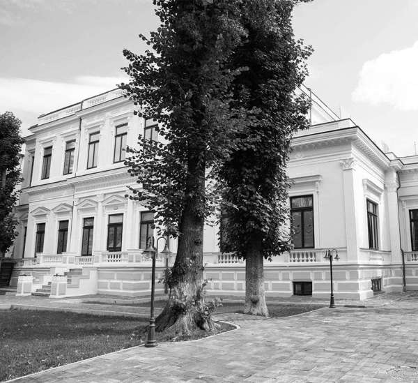 Menuiserie en Bois Stratifié, Lycée International Ioanid, Bucarest